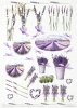 Conjunto Creativo MS036 - Lavender